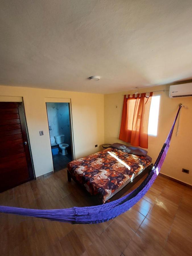 Venado 28 Hostel Κανκούν Εξωτερικό φωτογραφία