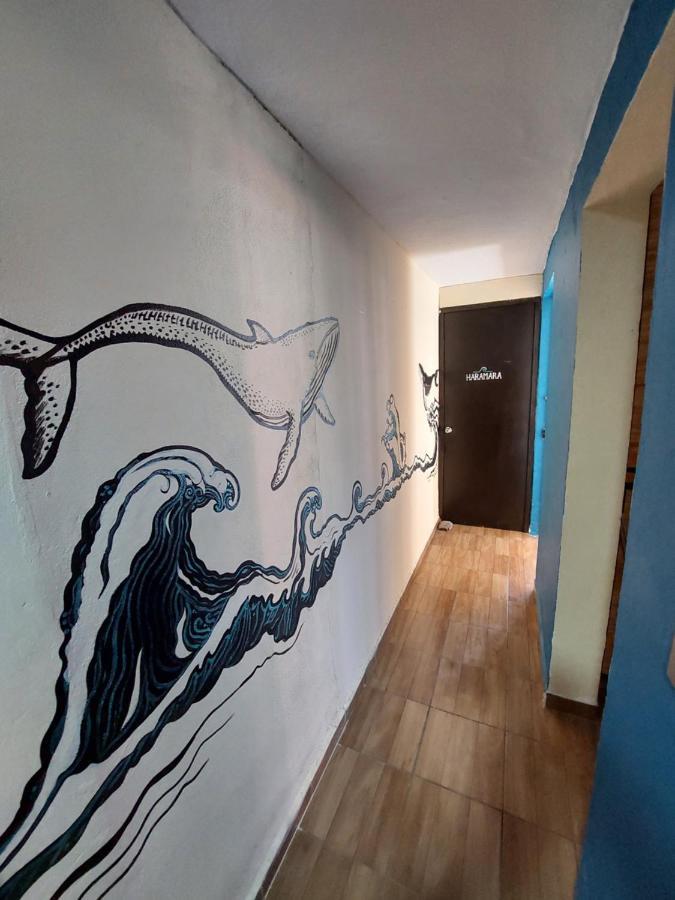 Venado 28 Hostel Κανκούν Εξωτερικό φωτογραφία