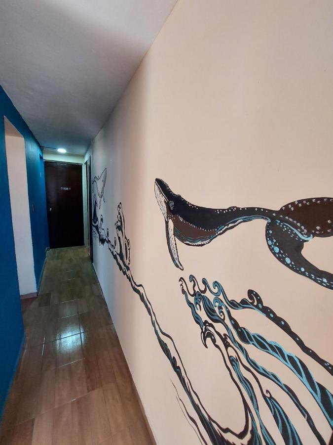 Venado 28 Hostel Κανκούν Εξωτερικό φωτογραφία