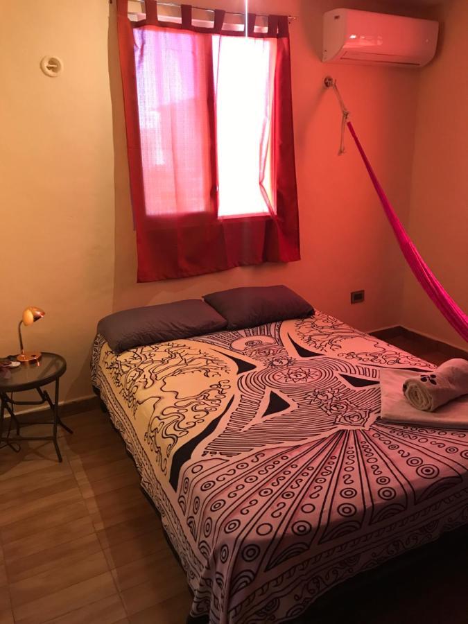 Venado 28 Hostel Κανκούν Εξωτερικό φωτογραφία